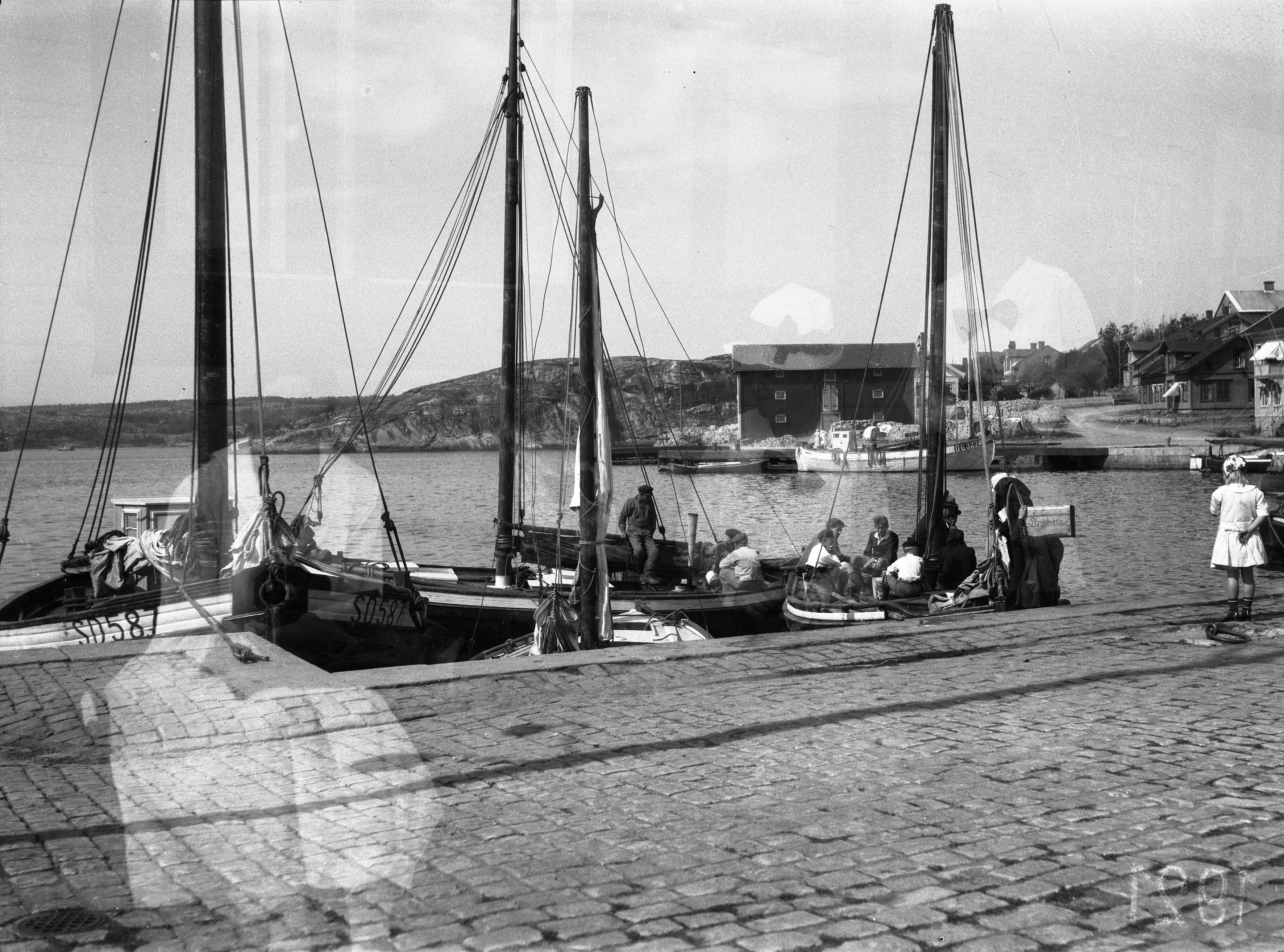 Pizza über Nacht Nicht Im Kühlschrank Carlotta - Foto